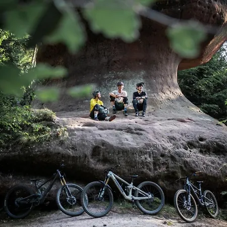 Tinyhaus Hike & Bike Vakantiehuis *